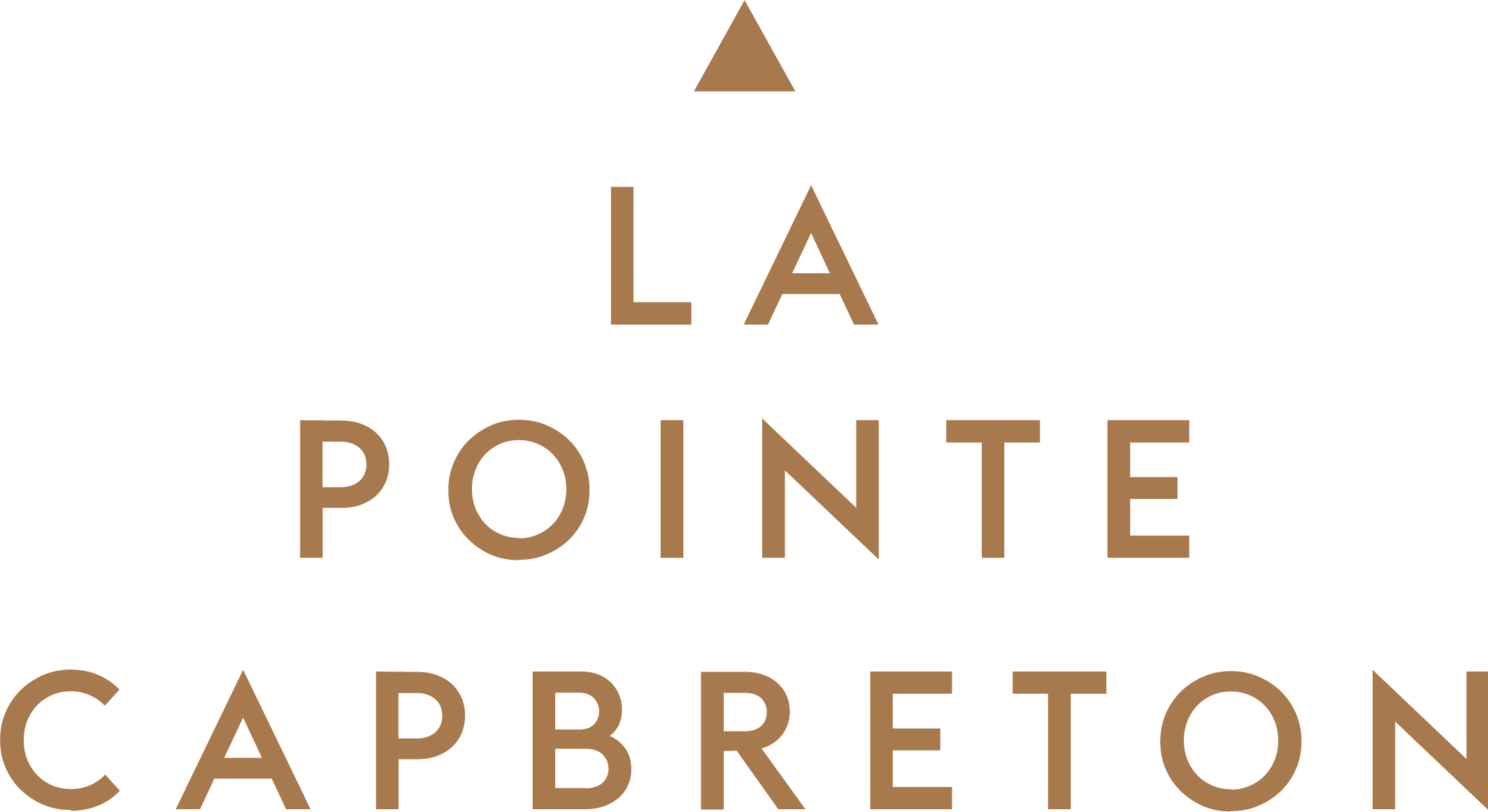 Logo Domaine de La Pointe