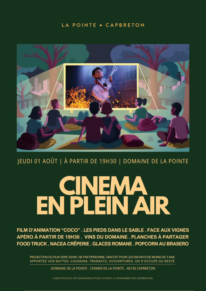 CINEMA EN PLEIN AIR - DOMAINE DE LA POINTE